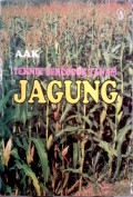 Teknik bercocok tanam jagung